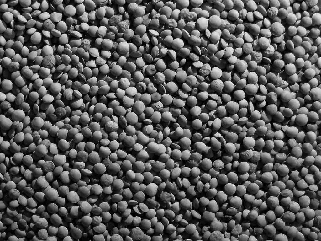 Ricordiamoci delle lenticchie