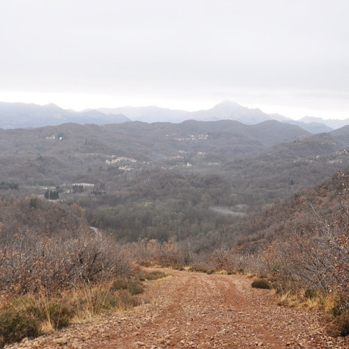La Madonna degli Angeli